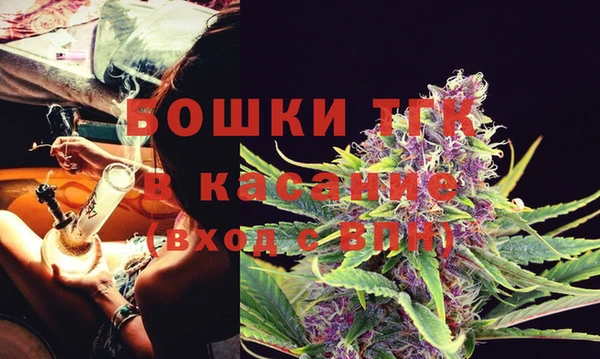 ПСИЛОЦИБИНОВЫЕ ГРИБЫ Гусь-Хрустальный