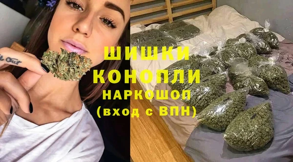 первитин Гусев