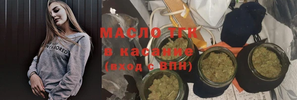 первитин Гусев