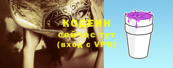 хмурый Дмитриев