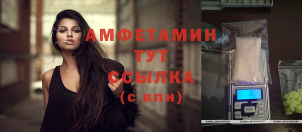 первитин Гусев