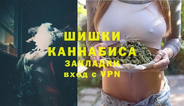 ПСИЛОЦИБИНОВЫЕ ГРИБЫ Гусь-Хрустальный