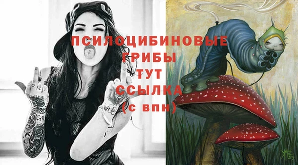 первитин Гусев