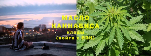 первитин Гусев