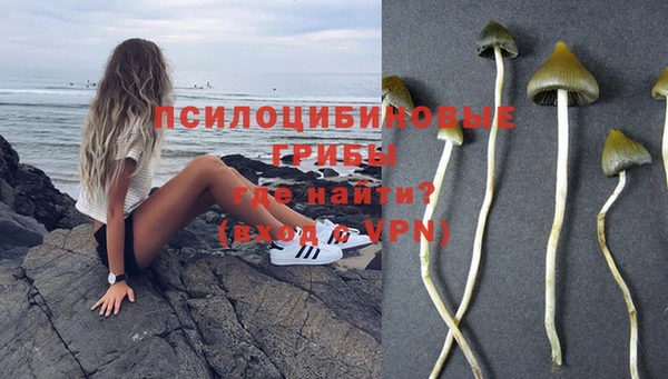 ПСИЛОЦИБИНОВЫЕ ГРИБЫ Гусь-Хрустальный